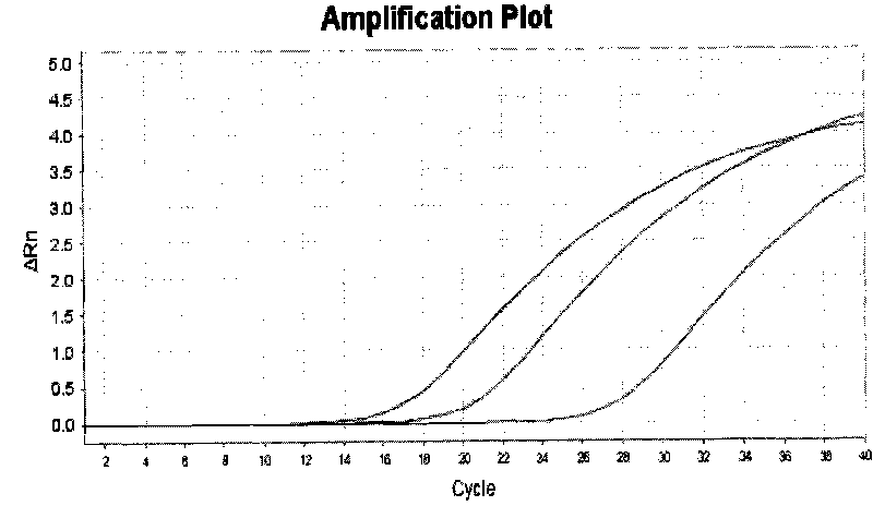 Kit for quantitatively detecting vibrio parahaemolyticus in food and clinic sample