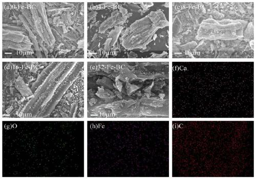 Preparation method of water hyacinth-Fe biochar and application of water hyacinth-Fe biochar