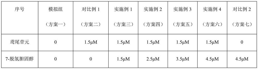 Whitening and anti-wrinkle composition and application thereof