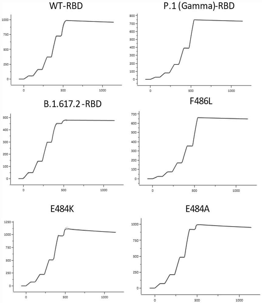 Novel coronavirus, monoclonal antibody of mutant of novel coronavirus and application of monoclonal antibody