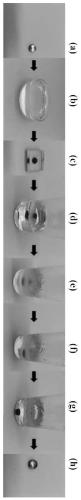 Preparation and lossless recovery method of inlaid sample