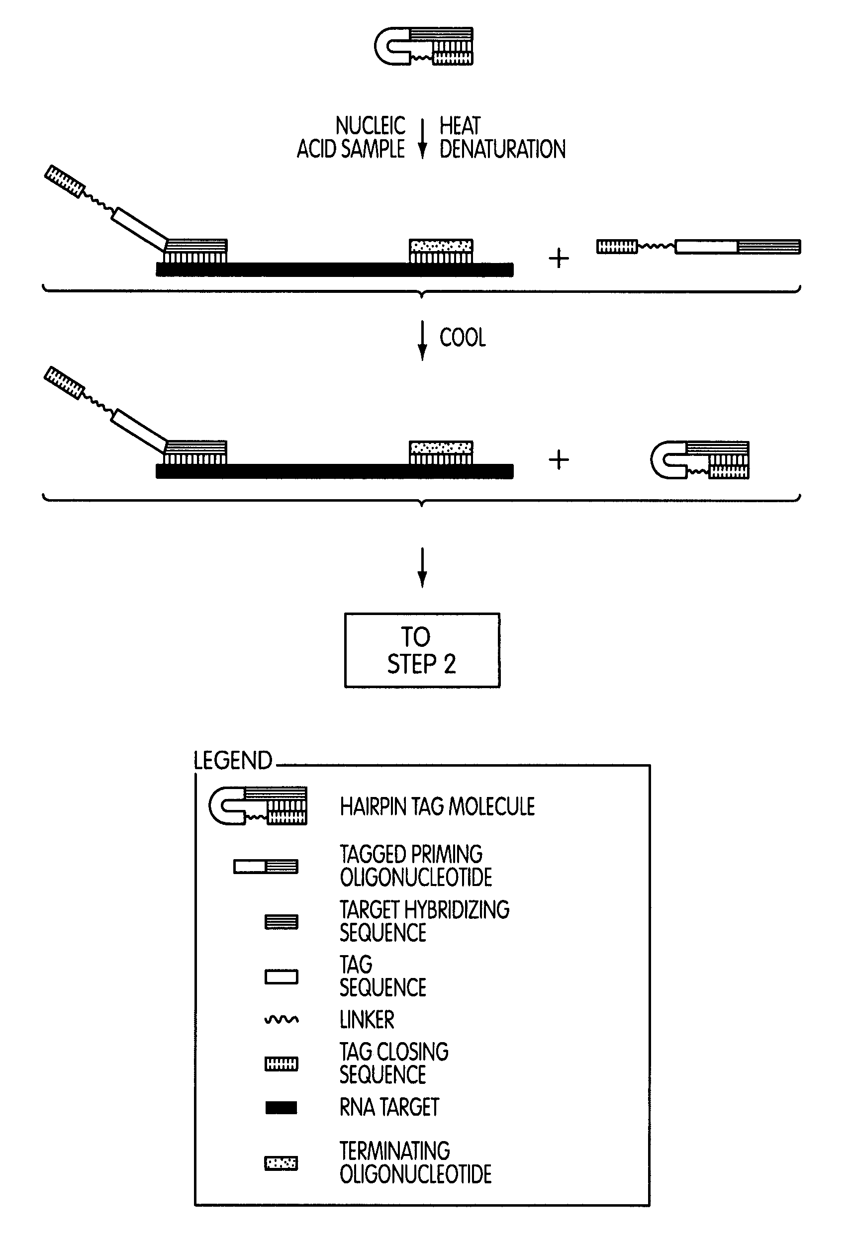 Tagged oligonucleotides and their use in nucleic acid amplification methods