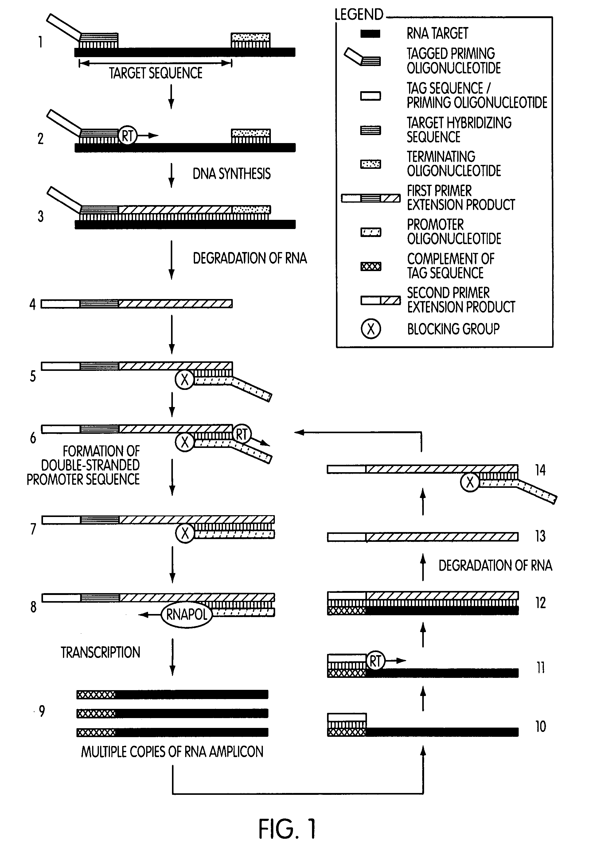 Tagged oligonucleotides and their use in nucleic acid amplification methods