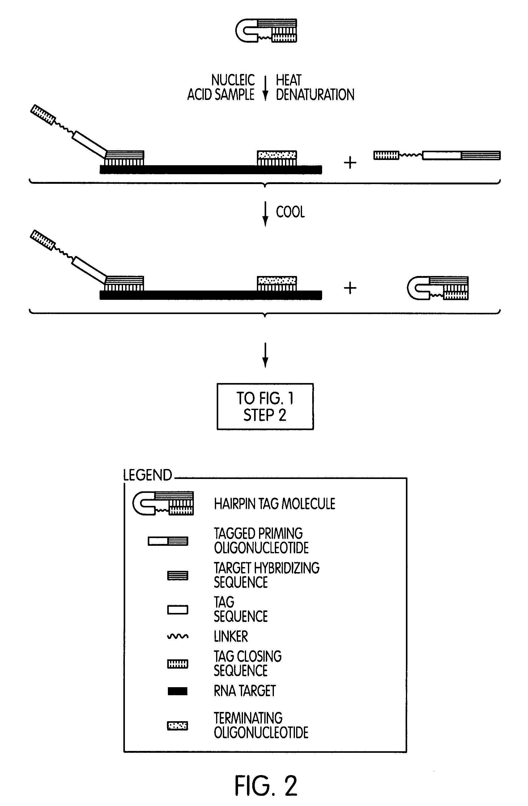 Tagged oligonucleotides and their use in nucleic acid amplification methods