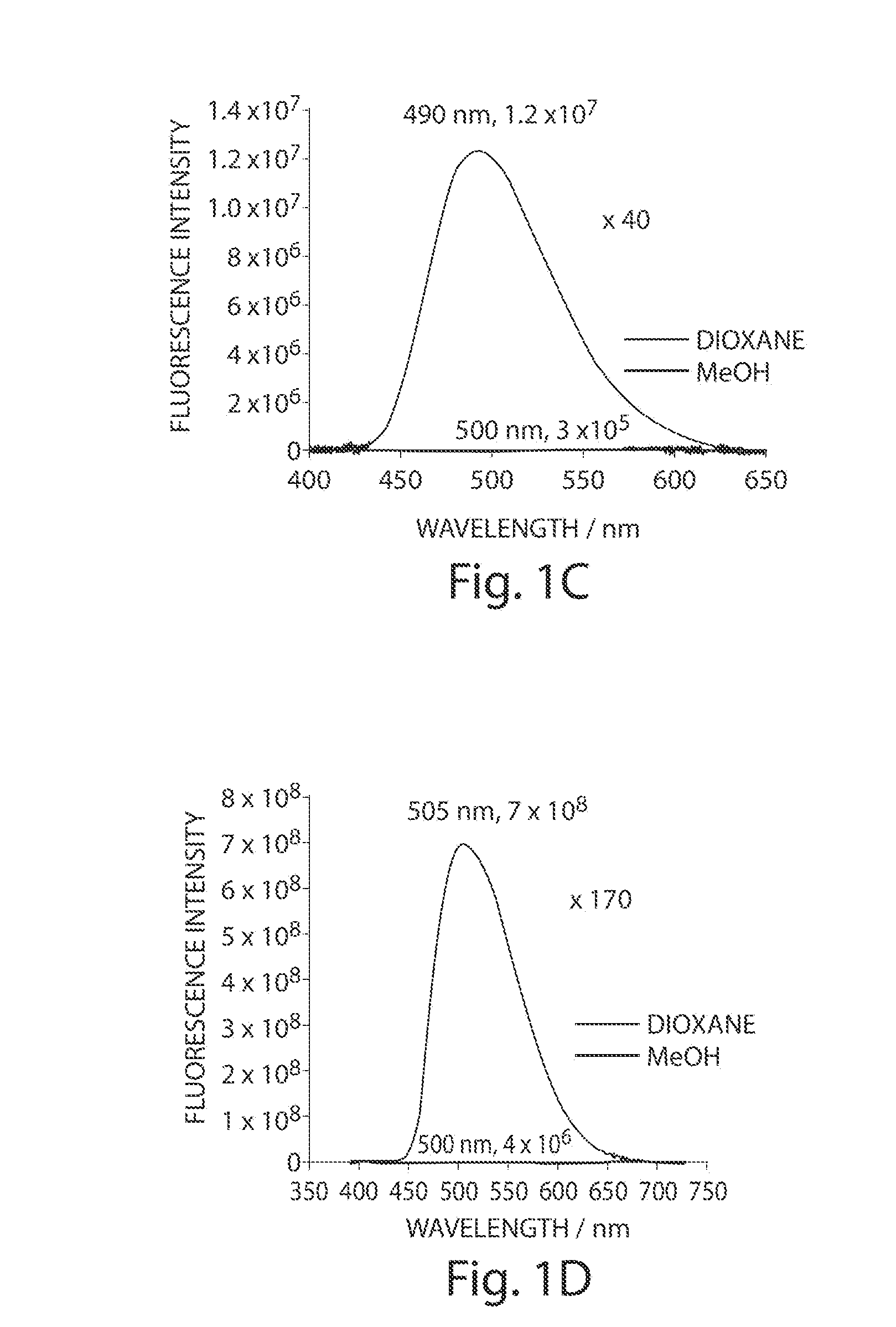 Environmentally sensitive fluorophores