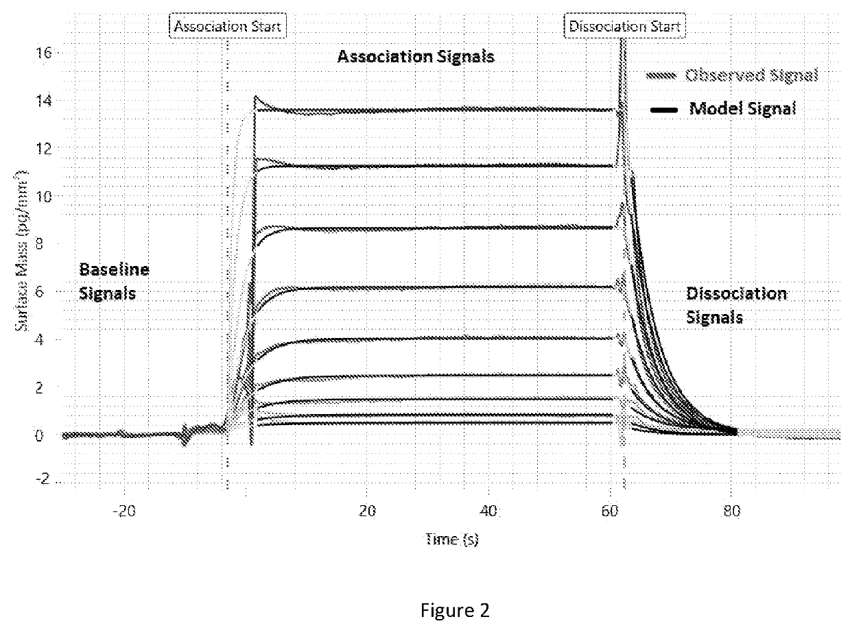 Method for calculating kinetic parameters of a reaction network