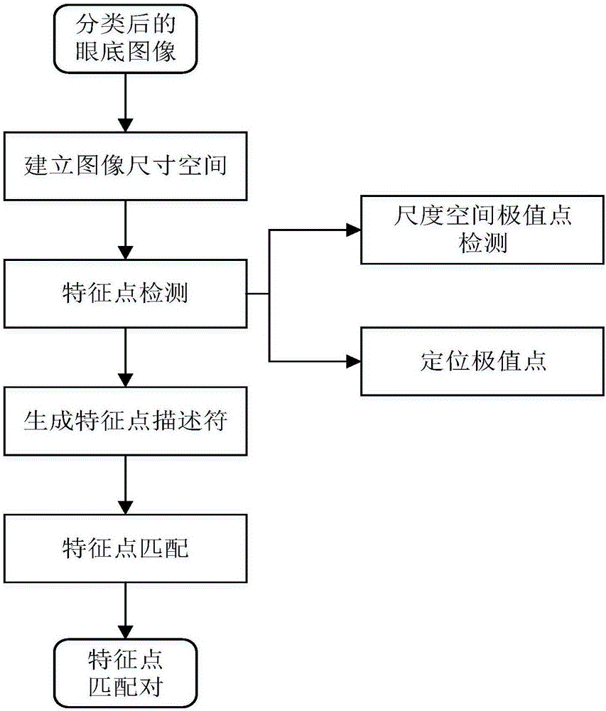 Fundus image registering method based on SIFT characteristics