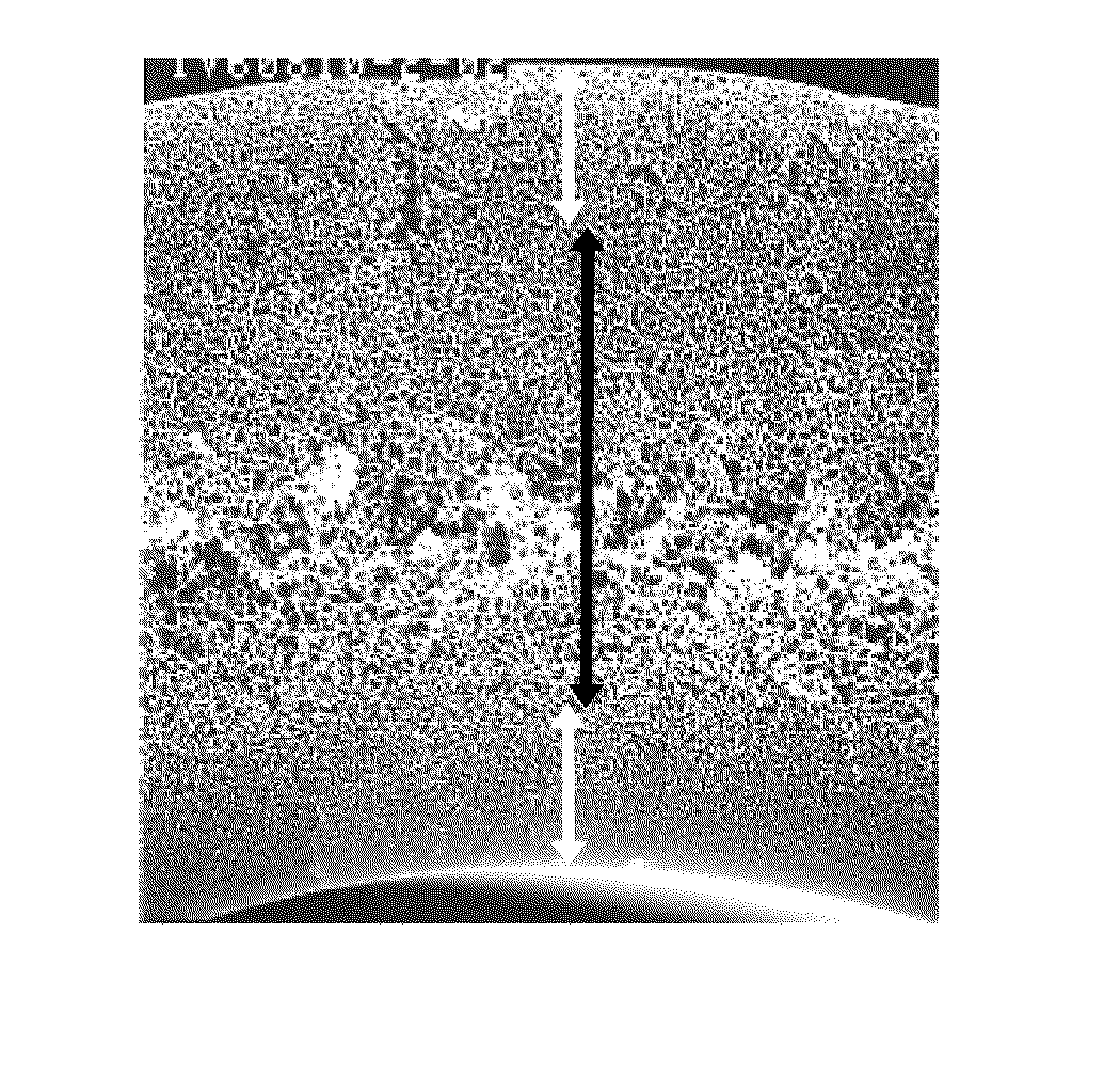 Porous hollow fiber membrane and a porous hollow fiber membrane for the treatment of a protein-containing liquid