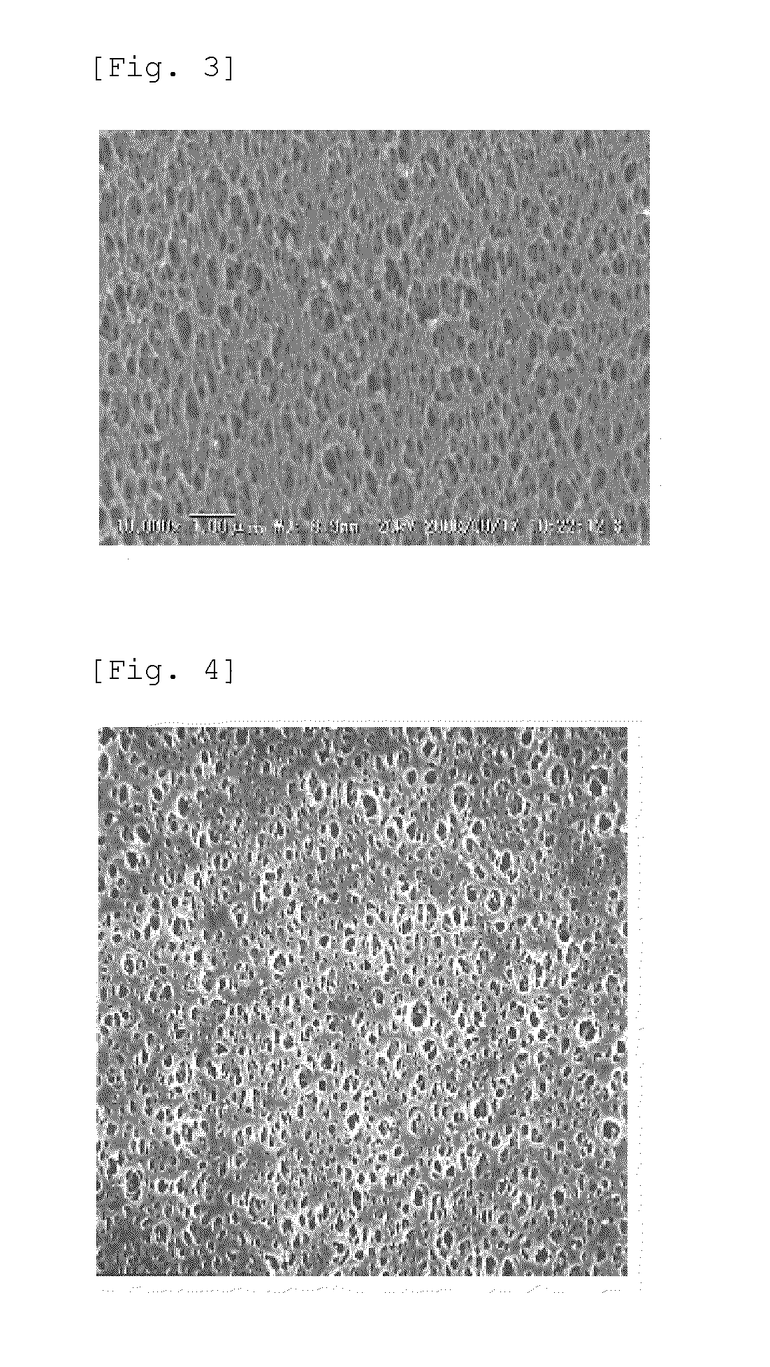 Porous hollow fiber membrane and a porous hollow fiber membrane for the treatment of a protein-containing liquid