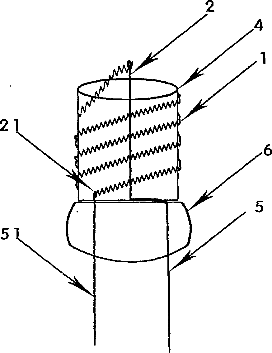 Novel cathode of fluorescent lamp