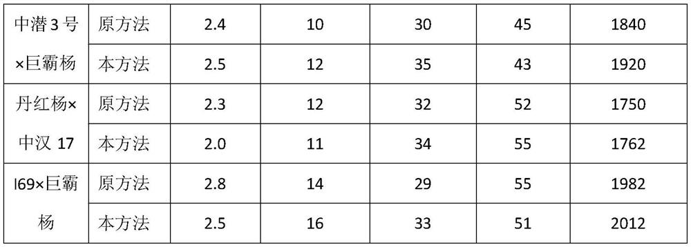 A method for improving the nutrient supply of female flowering branches of black poplar artificial cross-breeding