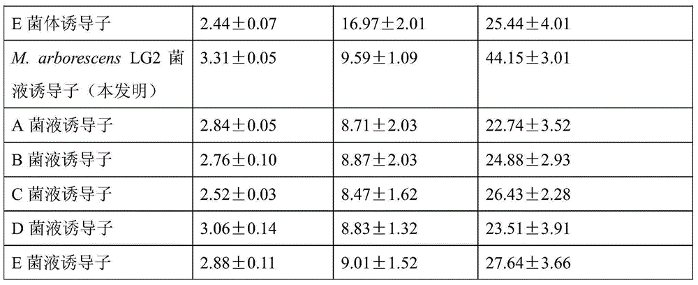 Microbacterium and uses thereof