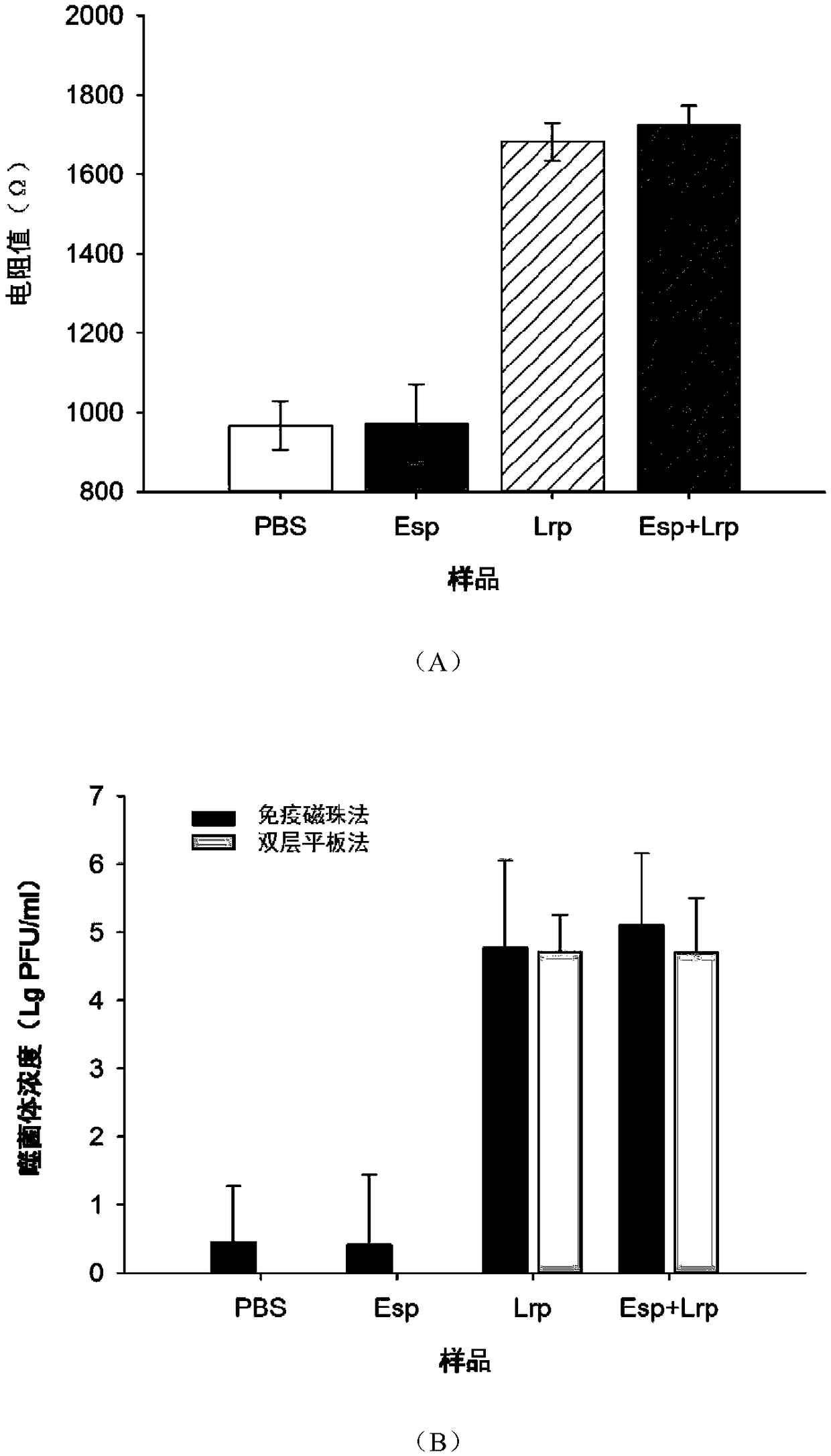 Method for rapidly and quantitatively detecting lactobacillus rhamnosus phages