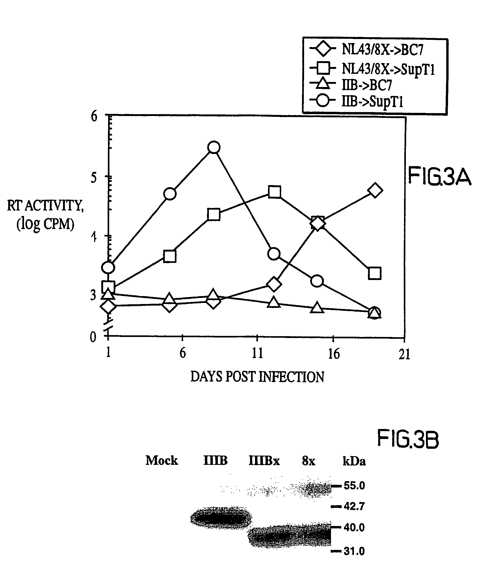 CD4-independent HIV envelope proteins as vaccines and therapeutics