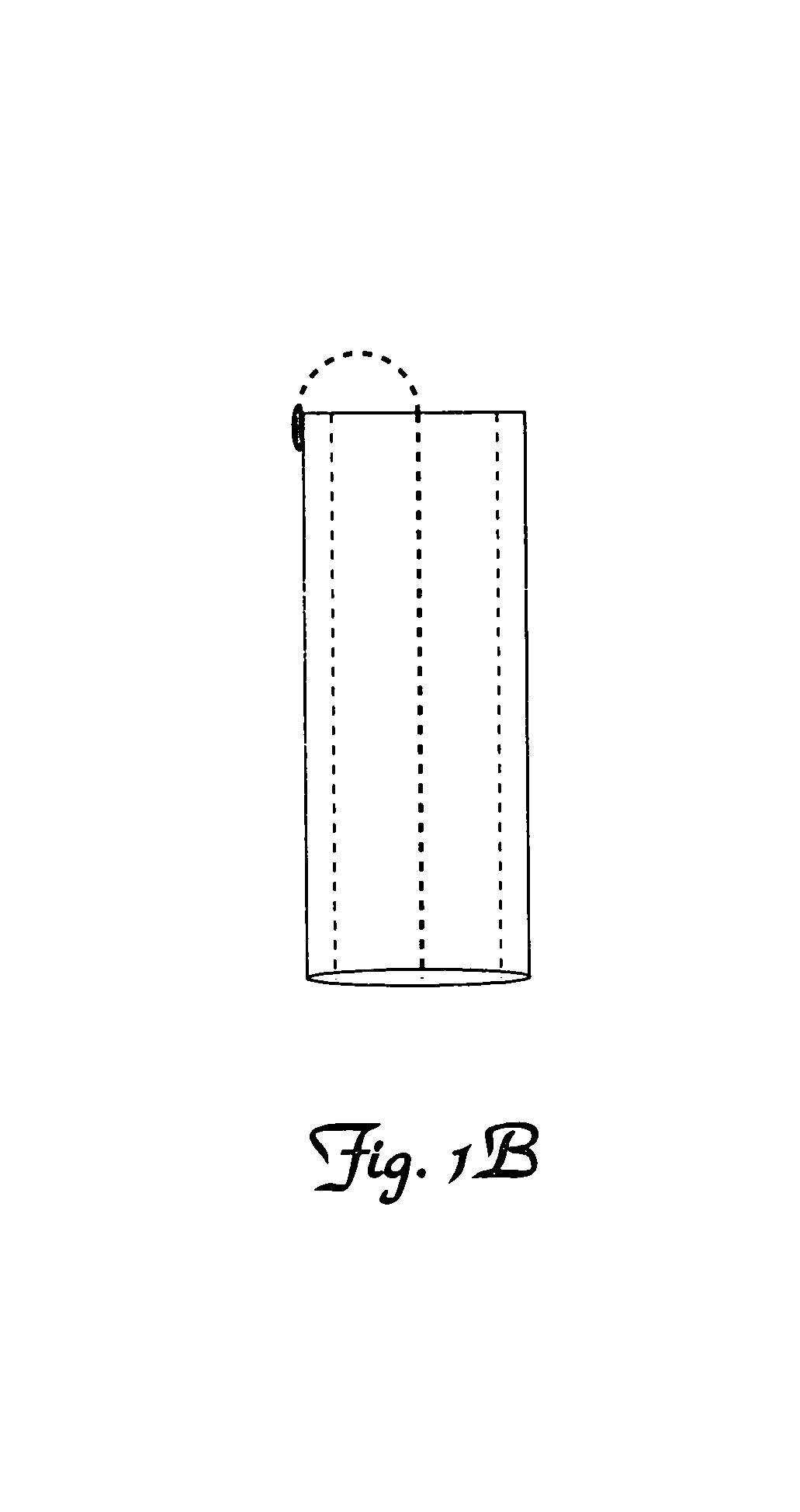 Electric/magnetic field sensor