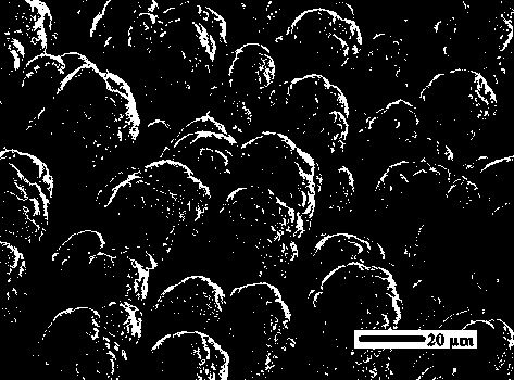 Method for controlling size and distribution of metal surface micro-nanostructure