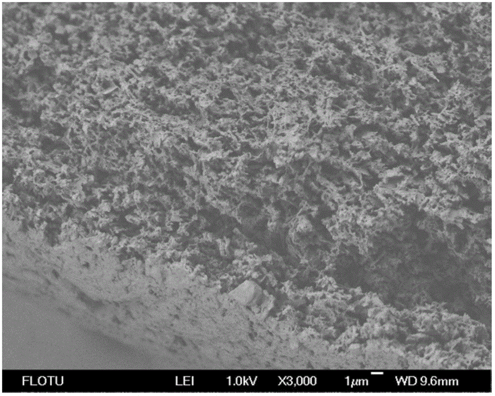 Hollow fiber blend membrane and method for manufacturing same