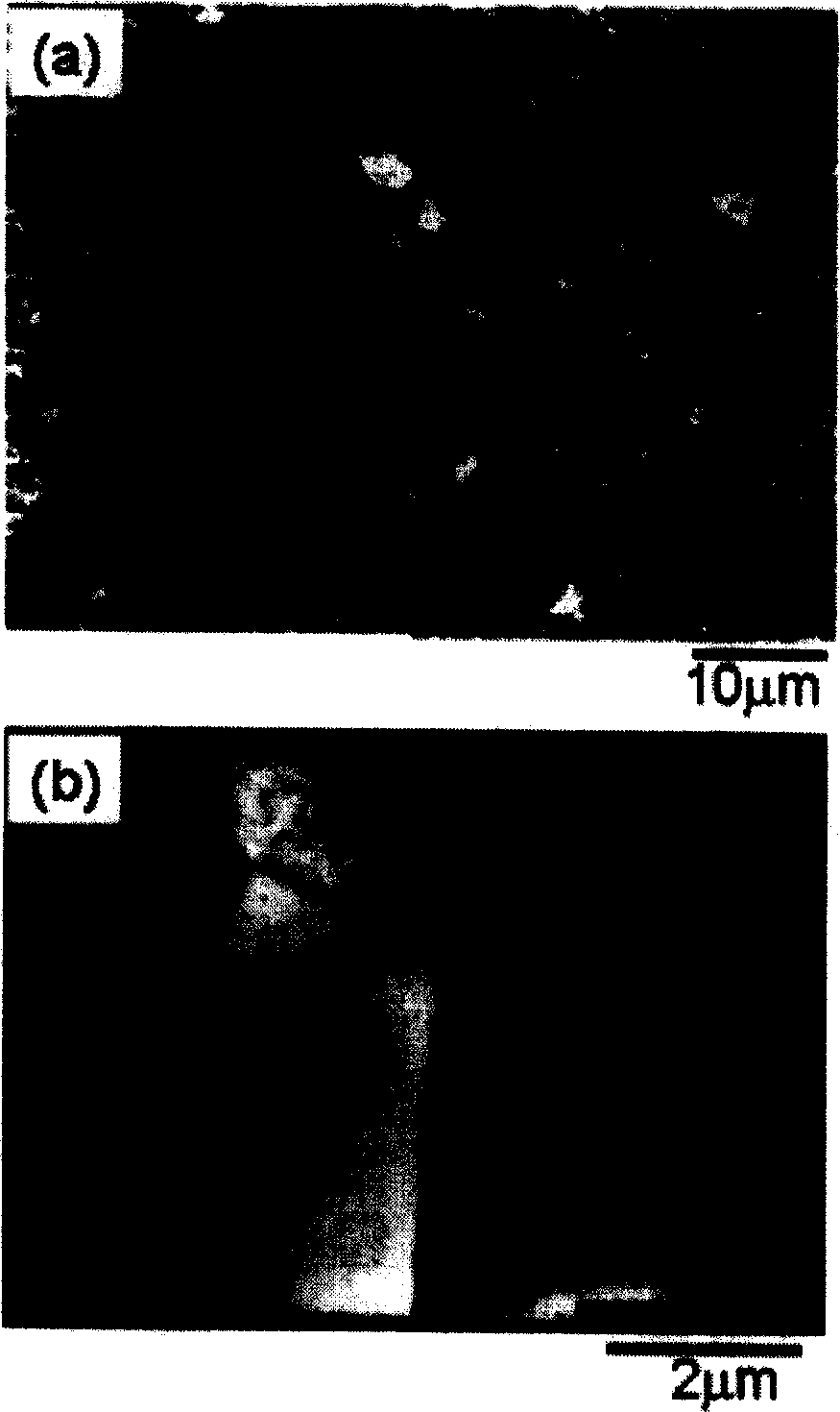 Ag-Pb-Sb-Te thermoelectric materials and preparation process thereof