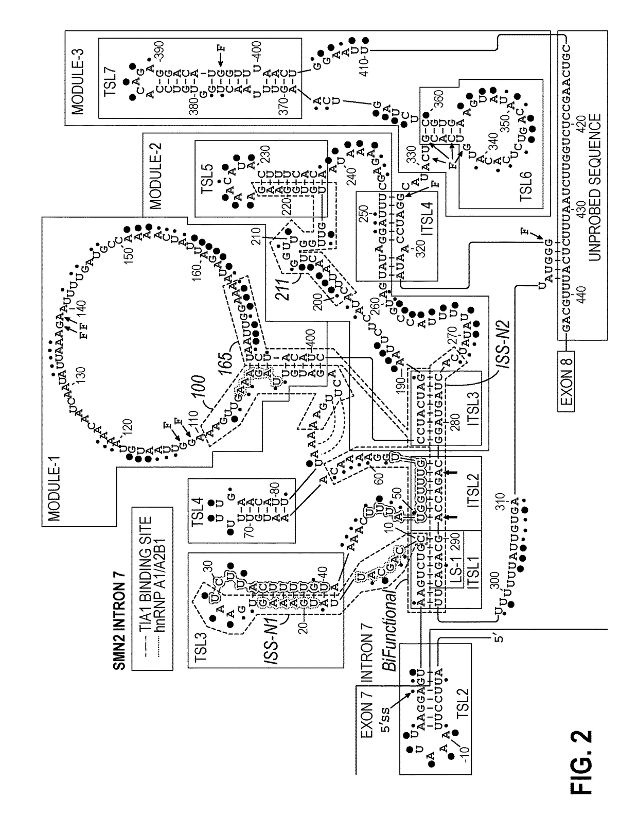 Antisense oligonucleotides for treatment of spinal muscular atrophy