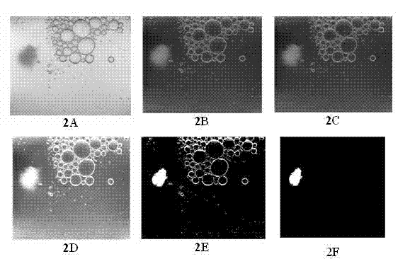 Method for testing plasma flocs