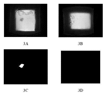 Method for testing plasma flocs