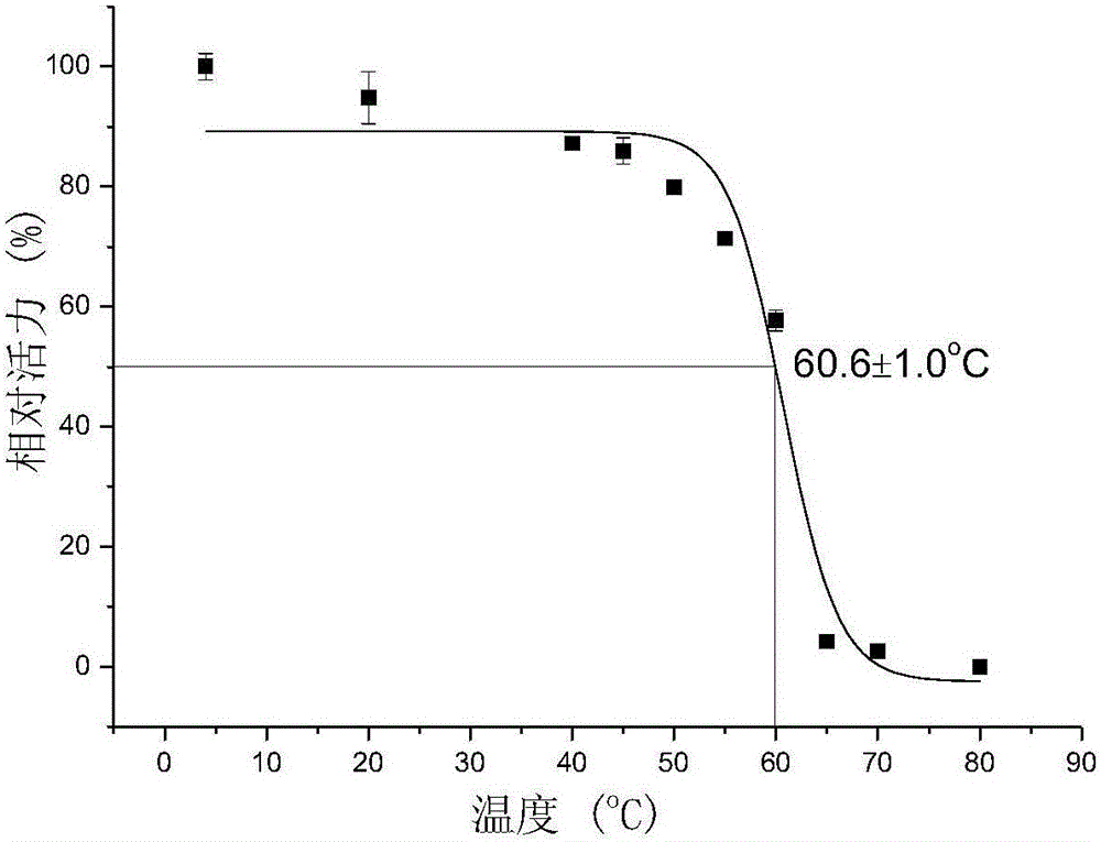 Carboxyl magnetic bead immobilized glutamic acid decarboxylase and preparation method and application thereof