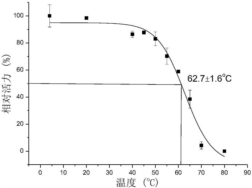 Carboxyl magnetic bead immobilized glutamic acid decarboxylase and preparation method and application thereof