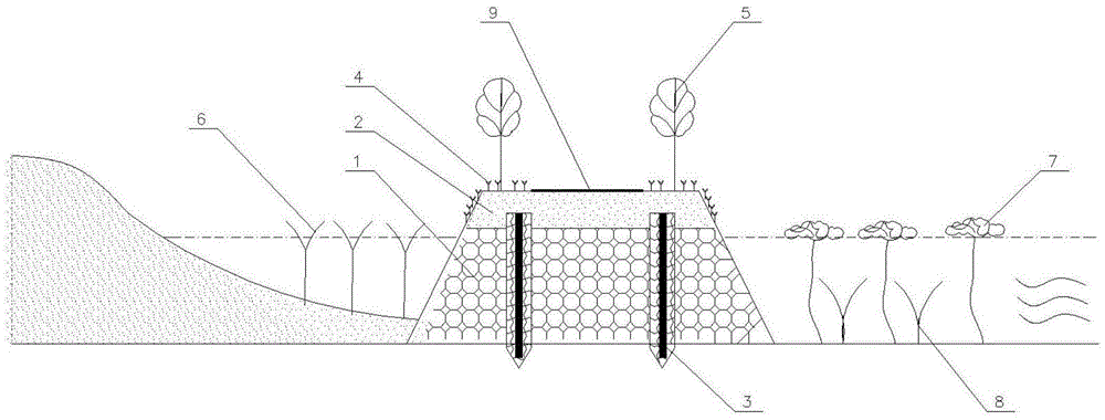 A technology for ecological restoration of embankment planting in Taihu Lake