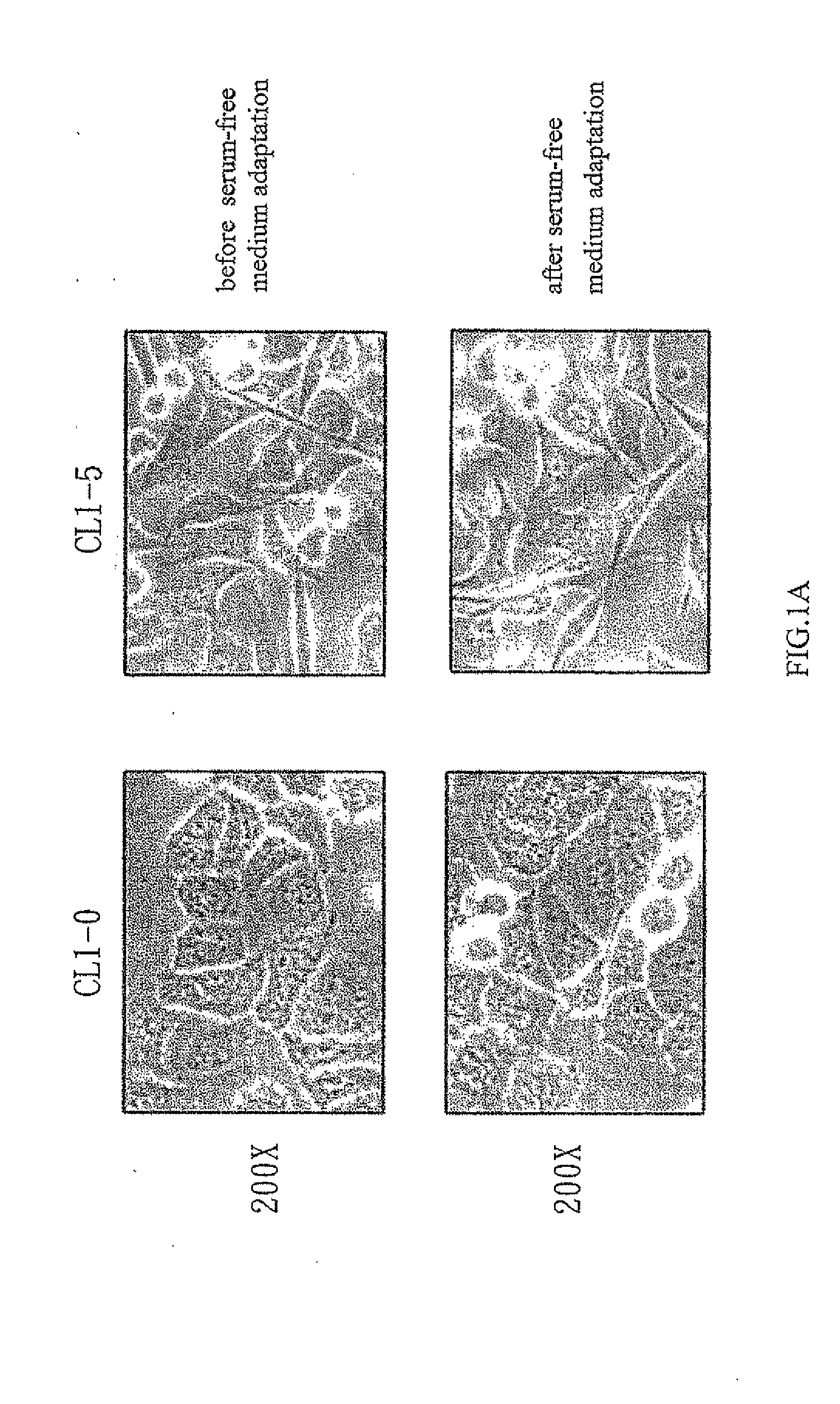 Methods and biomarker for evaluating cancer metastasis, pharmaceutical composition for inhibiting cancer metastasis, and method for analyzing secretome