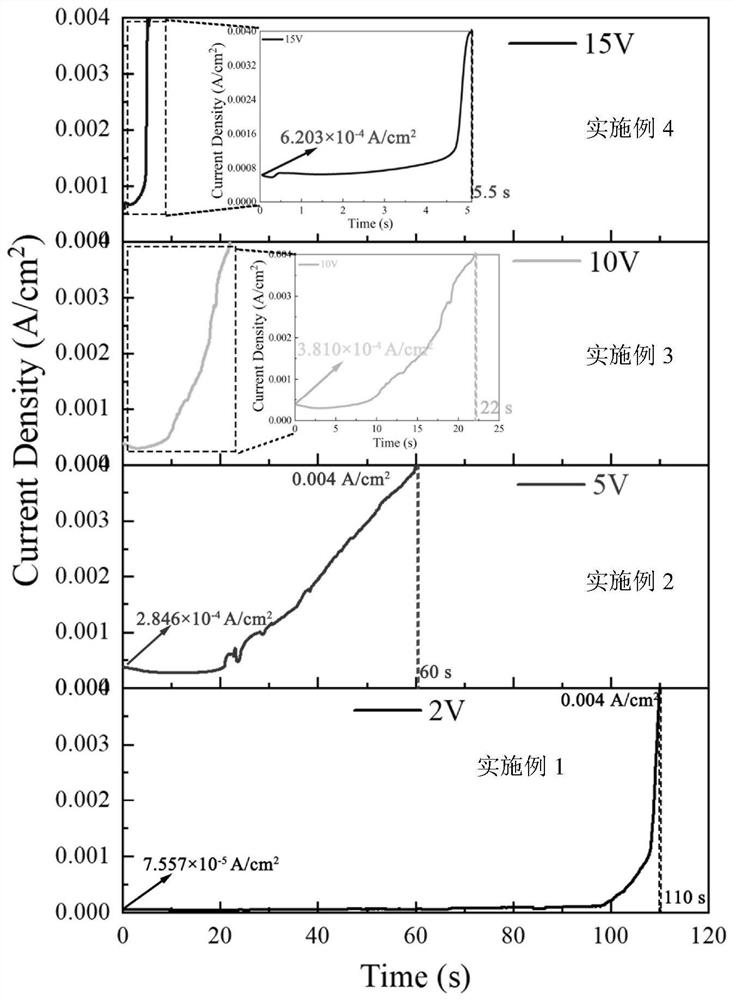 Electrochemical migration test method and device for power packaging