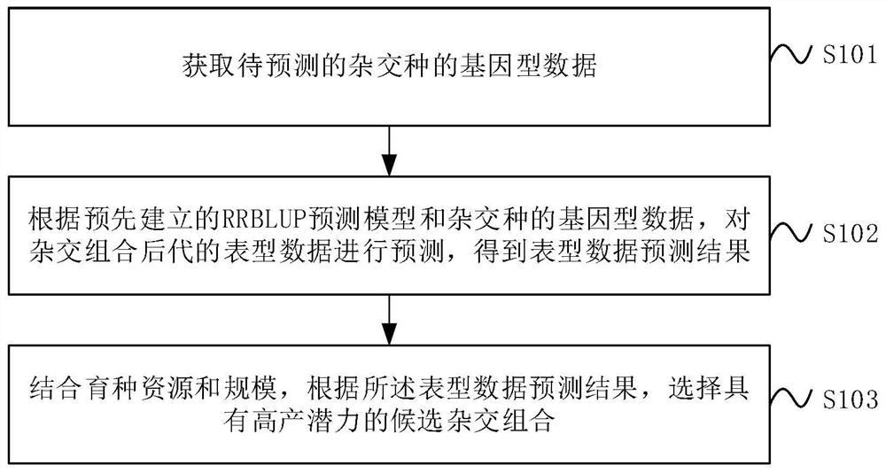 A whole genome prediction method and device based on rrblup