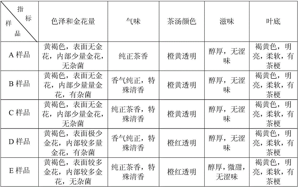 Processing method of fu-brick tea containing moringa leaves