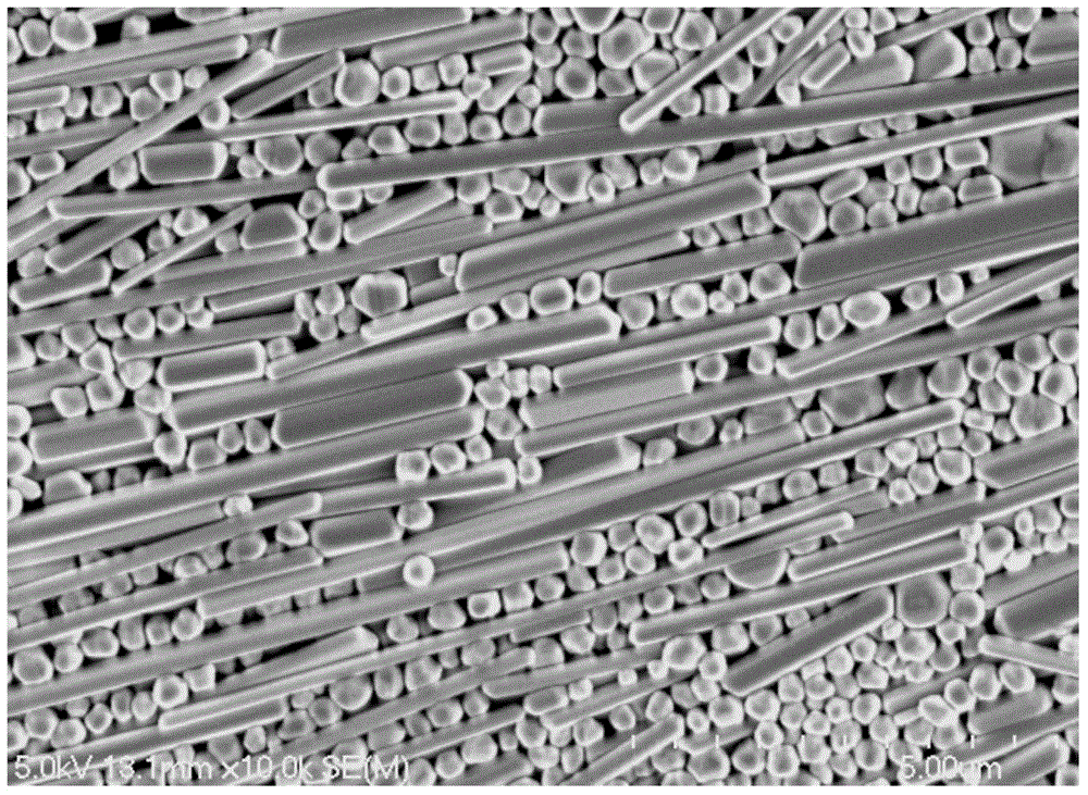 Solar cell electrode slurry, preparation method, cell electrode and solar cell