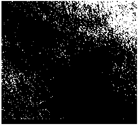 Supercritical carbon dioxide method for extraction separation of magnetosomes from magnetotactic bacteria