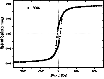 Supercritical carbon dioxide method for extraction separation of magnetosomes from magnetotactic bacteria