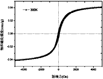 Supercritical carbon dioxide method for extraction separation of magnetosomes from magnetotactic bacteria