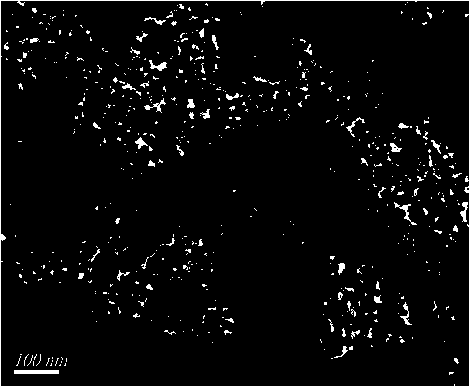 Method utilizing shaddock ped extracting solution to synthesize silver nanoparticles in microwave