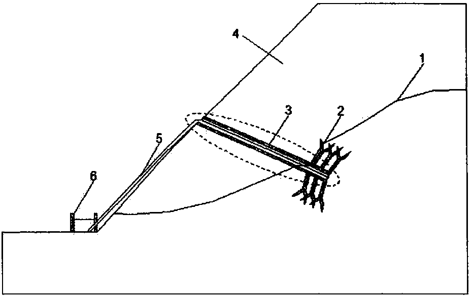 A seepage-enhancing siphon drainage system for low-permeability soil slopes