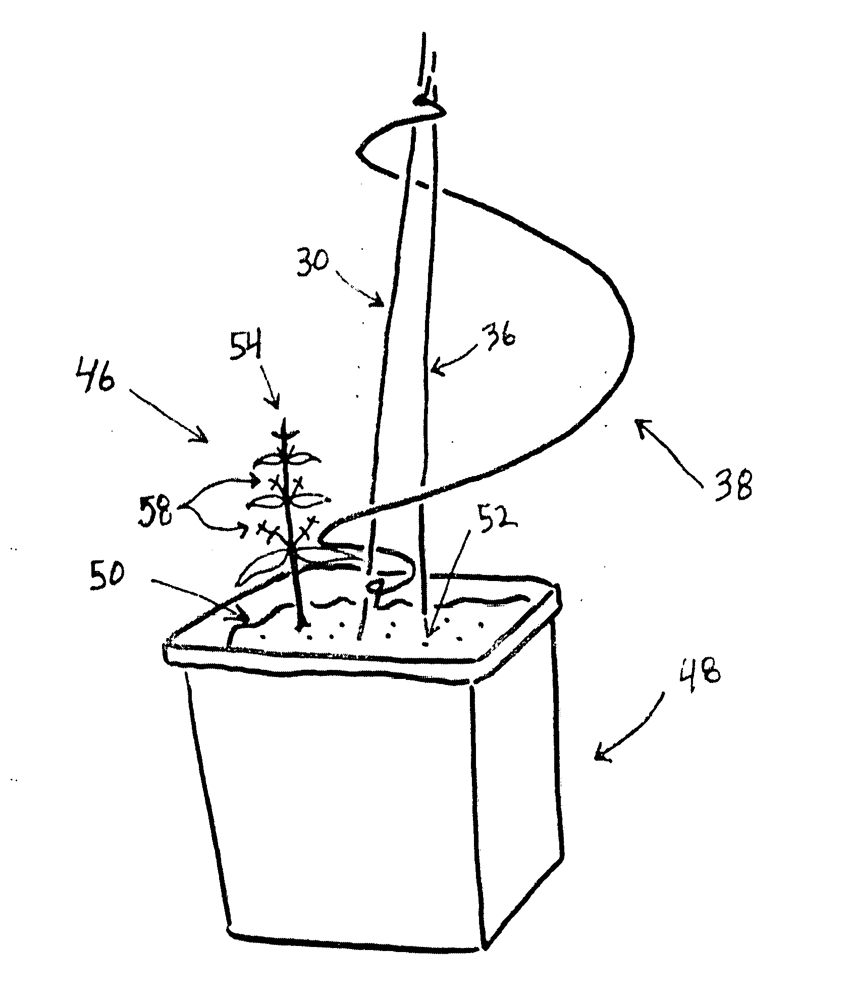 Apparatus and method for training plants