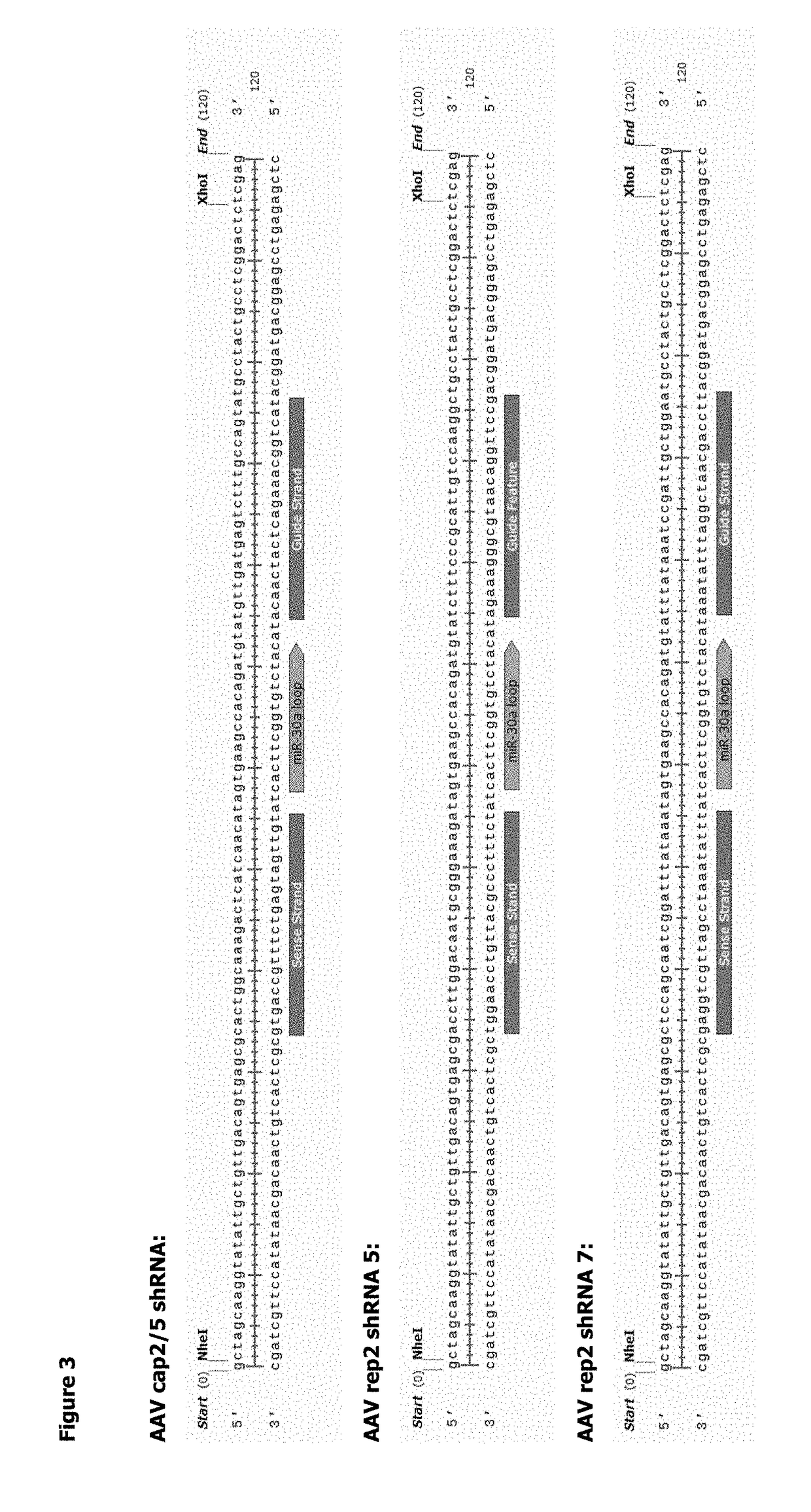 Methods for Adeno-Associated Viral Vector Production