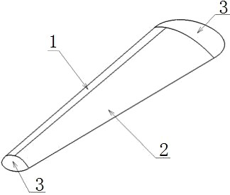 Low-scattering carrier for airfoil front edge wave-absorbing structure RCS test and test method