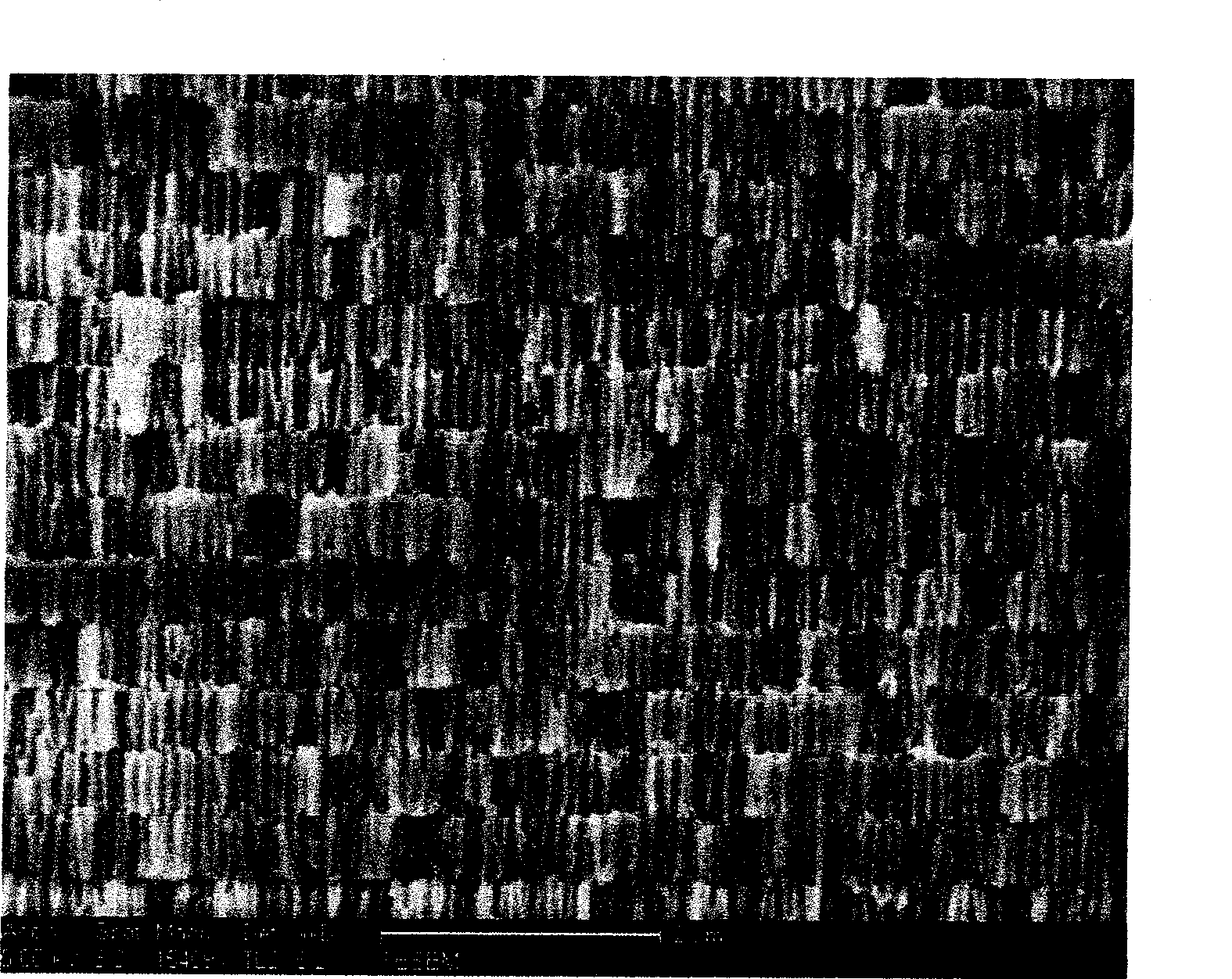 Porous aluminum oxide film light filter with bifurcate holes and preparation method thereof