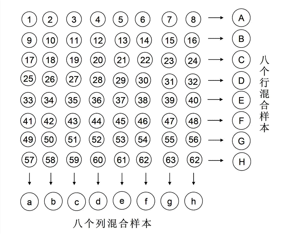 Method for fast detecting low-frequency exogenous chromosome fragments of genes with SSR markers