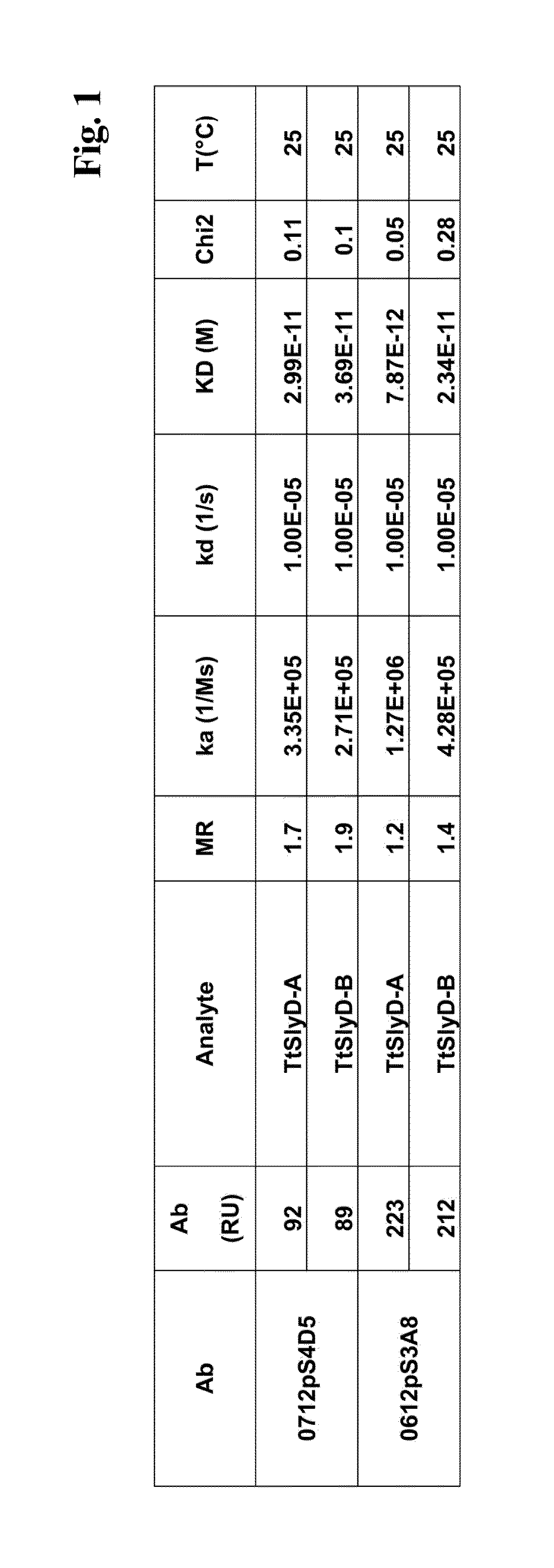 Thermus thermophilus slyd fkbp domain specific antibodies