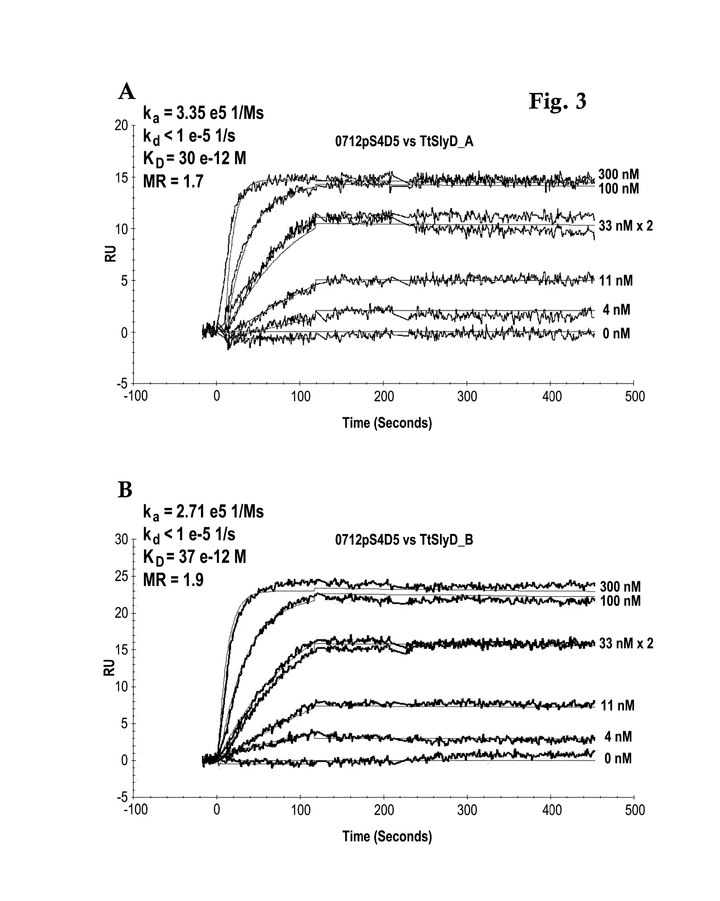 Thermus thermophilus slyd fkbp domain specific antibodies