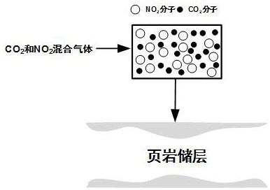 Method for enhancing shale carbon dioxide adsorption performance and cooperatively storing nitrogen dioxide