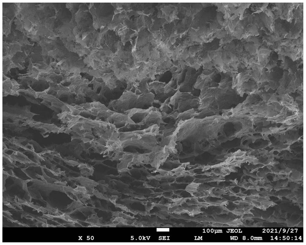 Oriented graphene thermally conductive foam, graphene thermally conductive film, preparation method thereof, and electronic product