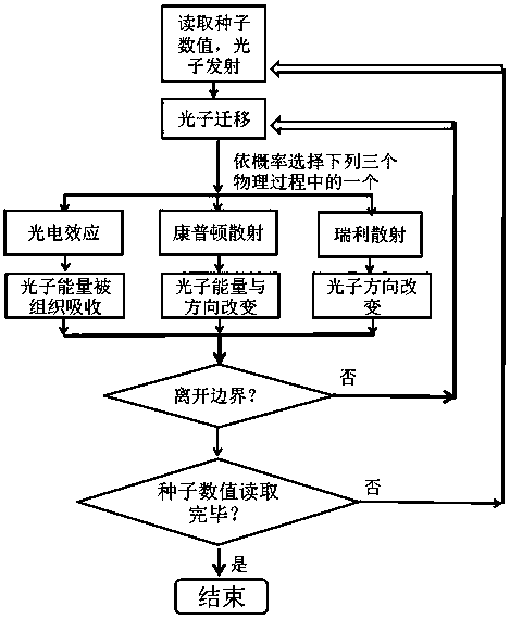 A two-step Monte Carlo simulation method for radiation dose calculation