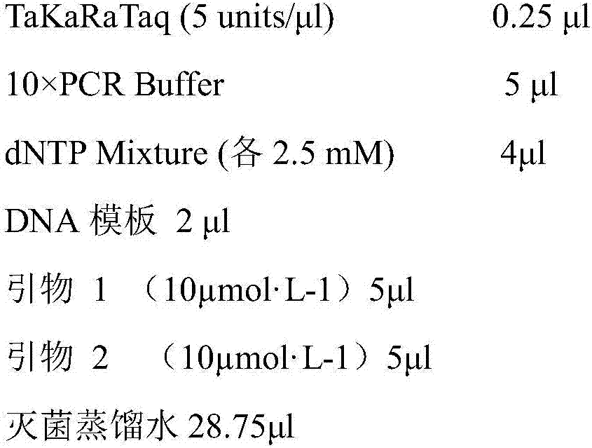 A kind of artificial cultivation method of wild leather ear