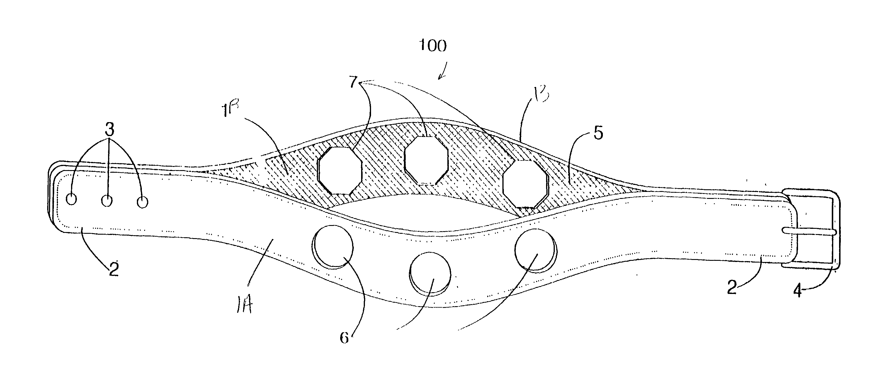 Animal collar with integral identification holders